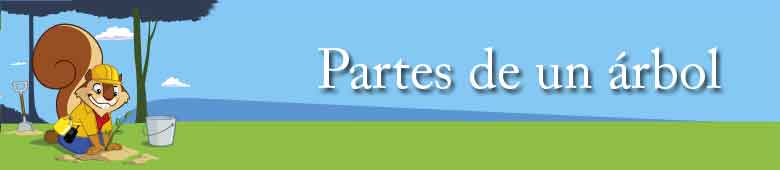 Partes de un &aacute;rbol