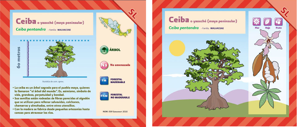 selvas