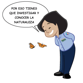 Profepa 2
