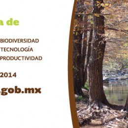 4.1 Banner-Expo-forestal-2014-968x322