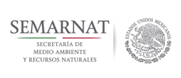 Especialistas-forestales-SEMARNAT-ICONO