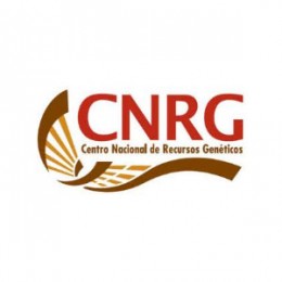logotipo-CNRG