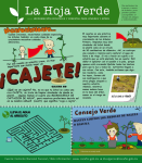 El cajete, parte del mantenimiento que requiere una planta