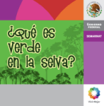 Cuadernillo para niños, con ilustraciones a todo color de los animales y plantas de la selva.
