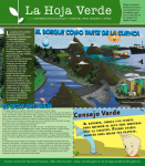 Los bosques como generadores de agua.