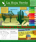 Plantas del desierto que proveen de productos a los pobladores de zonas áridas.