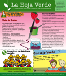 Descubre los distintos colores que poseen las frutas