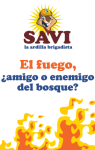 Dinámica para grupos de jóvenes sobre los incendios forestales y el manejo del fuego.