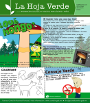 Un reino independiente: Los hongos como parte del bosque.