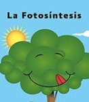 Audio cápsula que explica la fotosíntesis de las plantas. 