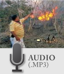 Autor: Arturo García Rubalcava