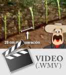 TERRAZAS DE MURO VIVO VÍDEO Restauración de suelos forestales Gerencia de Conservación de Suelos 
