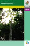 Árboles de la Selva Lacandona útiles para la restauración ecológica