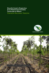 Situación actual y perspectivas de las plantaciones forestales comerciales en México