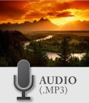 Melodía inspirada en el amanecer en los manglares de México