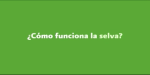 Cápsula informativa / 5:55 Mins / Español / 114 Mb