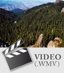 Documental / 14:05 Mins / Español / 319 Mb