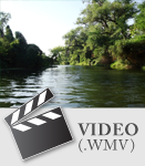 Documental / 16:51 Mins / Español / 378 Mb