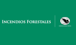 ¿Que es un incendio forestal?