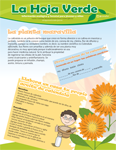 La planta maravilla