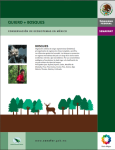 Cartel de apoyo para la campaña Quiero + bosques