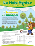 El buen uso del bosque