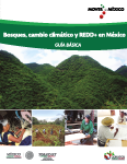 La presente guía proporciona información básica sobre los bosques, el cambio climático y REDD+