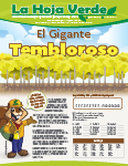 ¿Sabías que existe un bosque de un solo árbol?