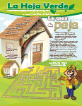 Muchos materiales para construir casas provienen de los bosques.