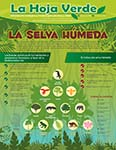 La selva húmeda