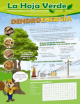La energía de los bosques