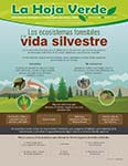 Los ecosistemas forestales y la vida silvestre