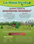 ¿Quiénes cuidan los ecosistemas forestales?
