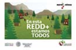 En esta REDD+ estamos todos