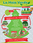 ¿Sabías que los árboles de Navidad se obtienen de plantaciones forestales comerciales?