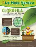 Hoja Verde - Clorofila, el color de la vida