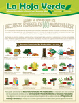 Hoja verde - ¿Cómo se aprovechan los recursos forestales no maderables?