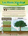 Los árboles y otra vegetación forestal ayudan a mitigar los efectos del cambio climático