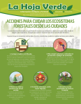 ACCIONES PARA CUIDAR LOS ECOSISTEMAS FORESTALES DESDE LAS CIUDADES