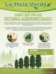 Sistemas agroforestales