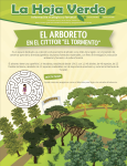 El Arboreto en el CITTFOR